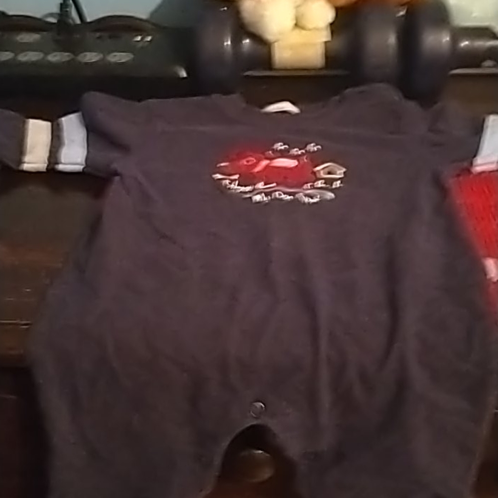 12 month old onesie